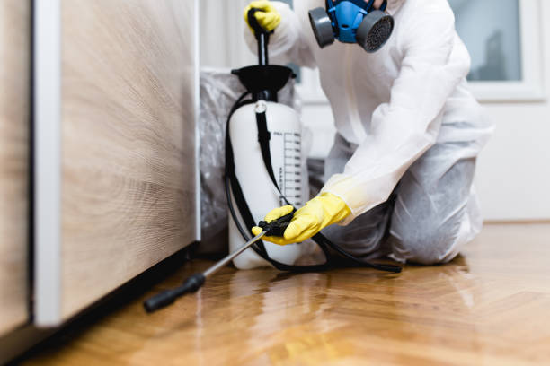 Best Termite Control Services  in Goodland, IN