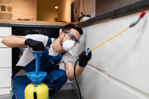 Best Affordable Pest Control Services  in Goodland, IN