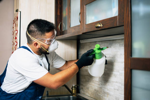 Best Wildlife Control Services  in Goodland, IN