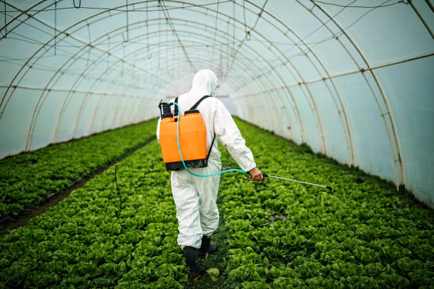Best Residential Pest Control  in Goodland, IN