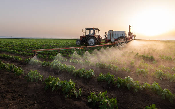 Best Commercial Pest Control Services  in Goodland, IN