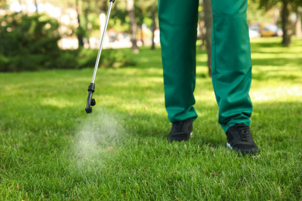 Best Pest Control Near Me in Goodland, IN