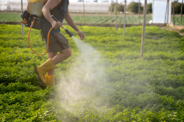 Best Ant Control Services  in Goodland, IN
