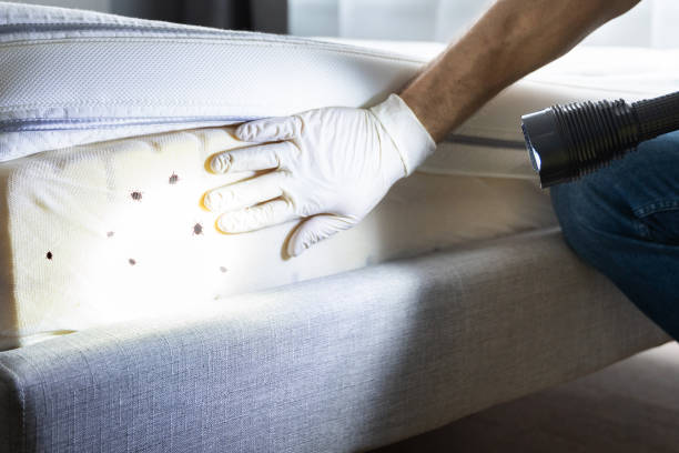 Best Pest Control Near Me  in Goodland, IN