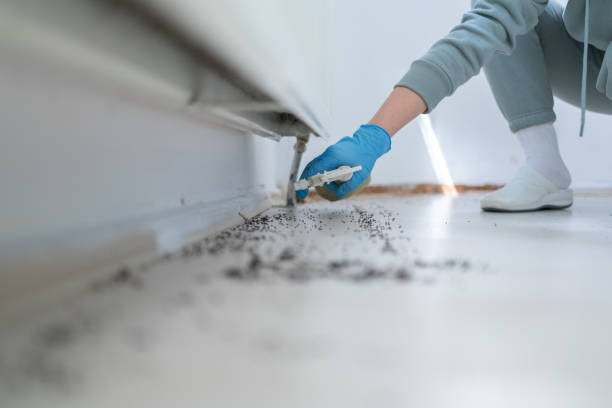 Best Pest Control for Restaurants  in Goodland, IN