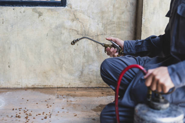 Best Best Pest Control Companies  in Goodland, IN